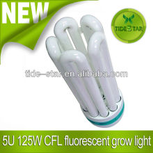125w fluorescent grow lamp/Energy Saving Bulbs