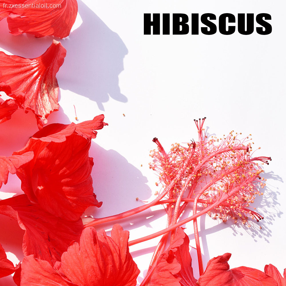 Private Label 100% pure huile essentielle d&#39;hibiscus naturel
