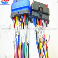 OEM Wire Harness Assy ერთად Molex დალუქული კონექტორი