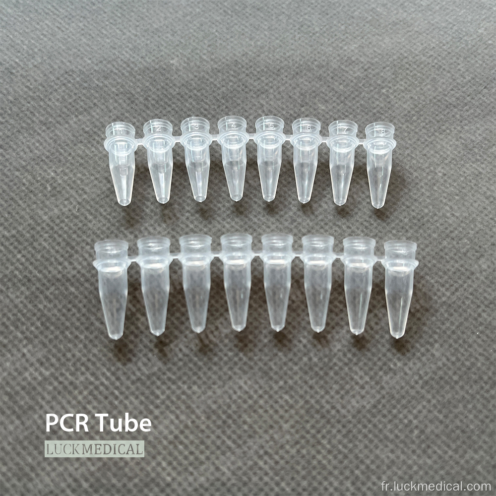 Bandes de tube de PCR 0,1 ml 0,2 ml