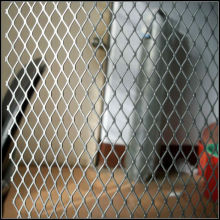 diamond expanded metal mesh