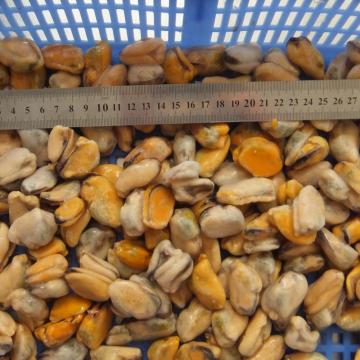 Frozen IVP mussels without shell