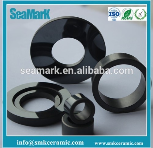 High Precision/Silicon carbide(SSIC) ceramic seal ring/ Seamark