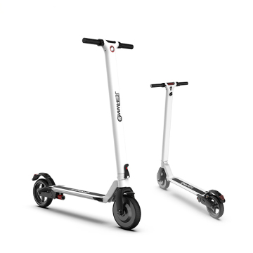 Electric Scooter E100 Razor