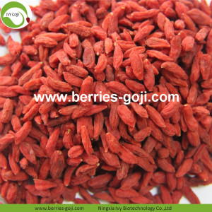 Kualitas Terbaik Natural Eu Standard Goji Berry