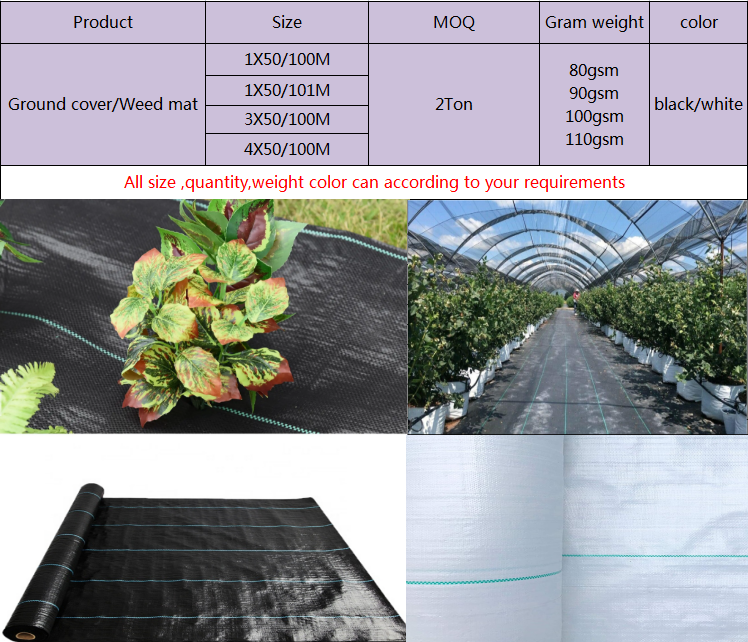 Tampa do solo PP pp ground cover