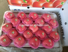 Fresh apple Fresh fuji fruit for sale