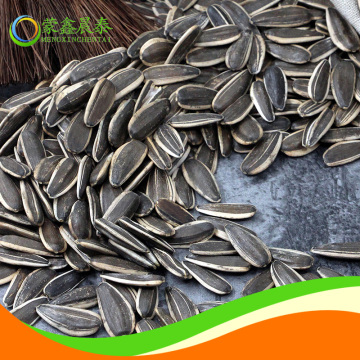 Top Grade and Raw Processing Seeds