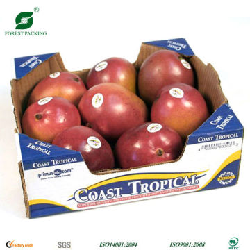 FRUIT CARTON BOX FOR APPLES FP200618