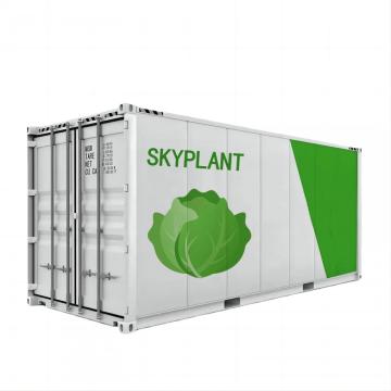 20ft sea Smart farm system Indoor hydroponics Garden vertical 40ft shipping container fish farming plant