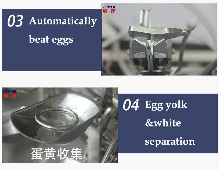 Large Scale Egg Yolk And Egg White Separator