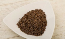 Hot Selling Pure Natural Dried Fennel