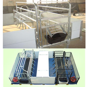 Sow Farrowing Crates?