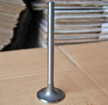 Engine Valves LR4105