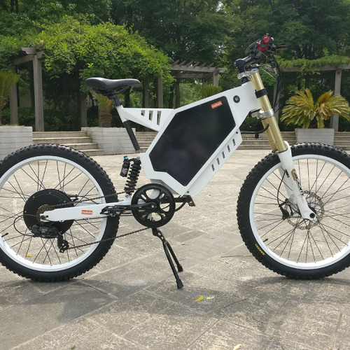 Custom CE approuvé les vélos électriques du pneu