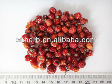 dried and natural rose hip