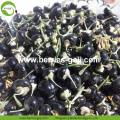 Factory Supply Dried Wild Black Goji Berries