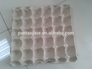 pulp egg tray