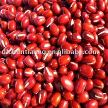 organic adzuki bean