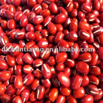 organic adzuki bean