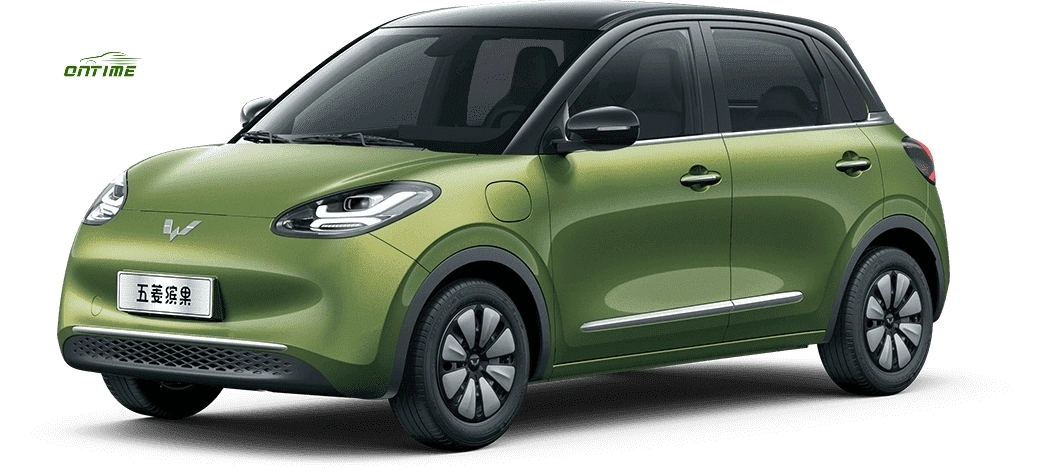 Chinese 2023 Hot Compact Family Use Mini Car Electric Vehicle Ontime Binguo