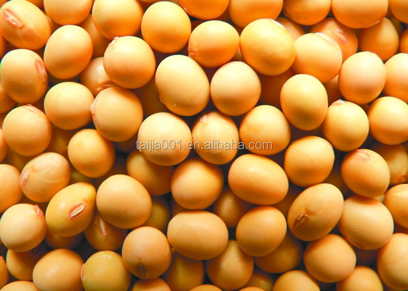 poultry feed soyabean meal low price