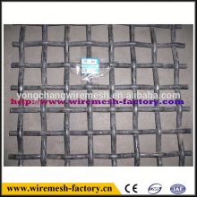 galvanized iron wire crimped mesh