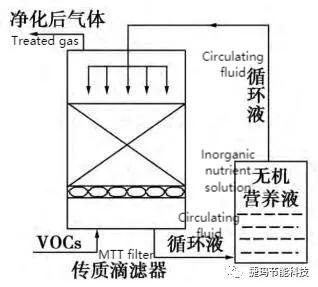 Schematic diagram of biological trickling filter tower