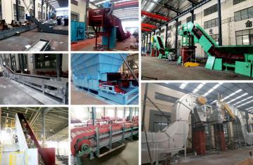 Chain Plate Conveyor with Optical Sorting