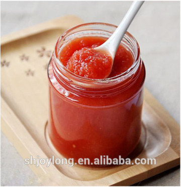 Ketchup tomato past production line