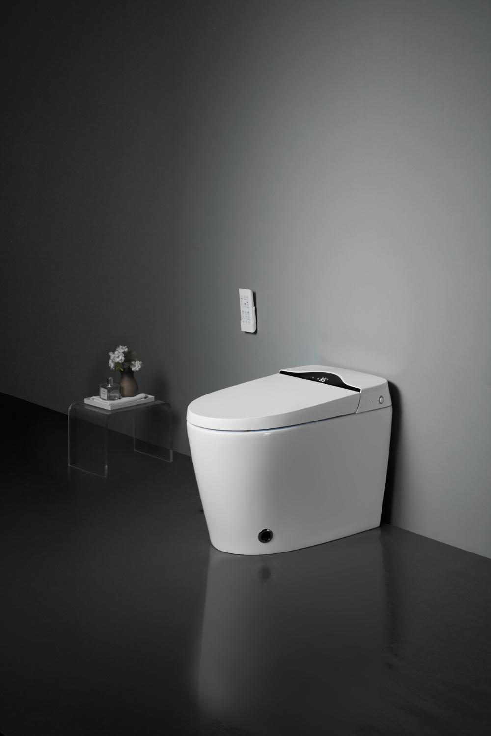 8303a 19smart Toilet