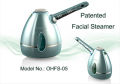 improve the absorbency of skin facial steamer acne OHFS-04