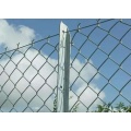 Galvanized Chain link fence