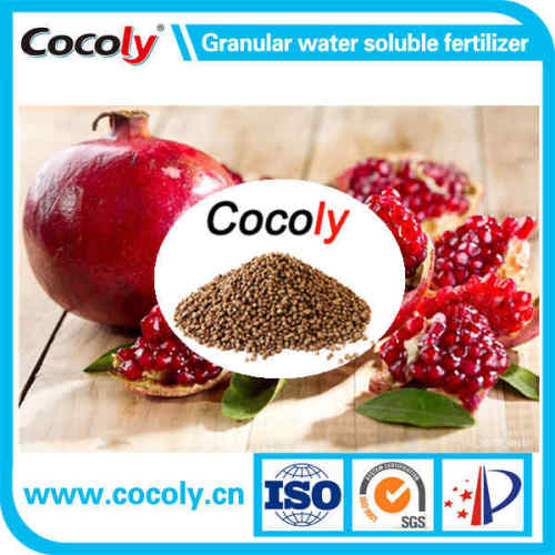 Cocoly Gold Plus Animo Oligosaccharin Fertilizer & Fully Water-Solubility Fertilizer