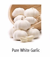 High quality vacuum packaging pure taste distributor peeled garlic