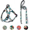 Dog Harness &amp; Leash Conjunto Ajustável Resistente Não Pull Dog Harnesses