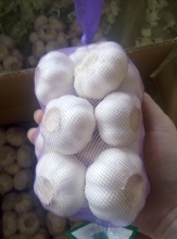 Selected New Crop Fresh Pure White Garlic