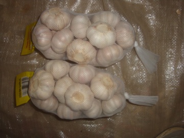 Large Bag Normal White Garlic Packed 500g bag