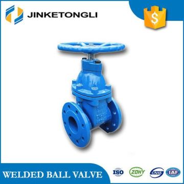 API 6D cast iron gate valve gate valve pn16