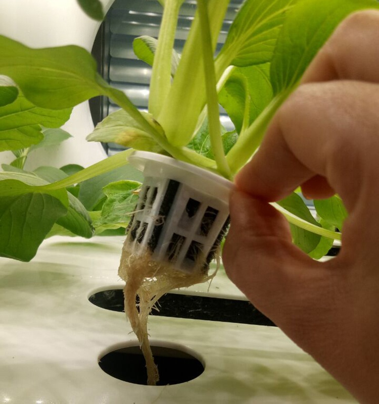 intelligent hydroponic system