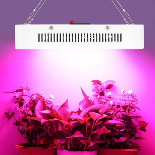 Vollspektrum-LED wachsen Licht für Gemüsefrüchte