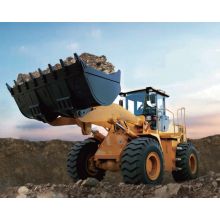 Eimpetrad Loader fl955d Trakter Front End Loader