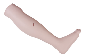 Practice Suturing Leg Model