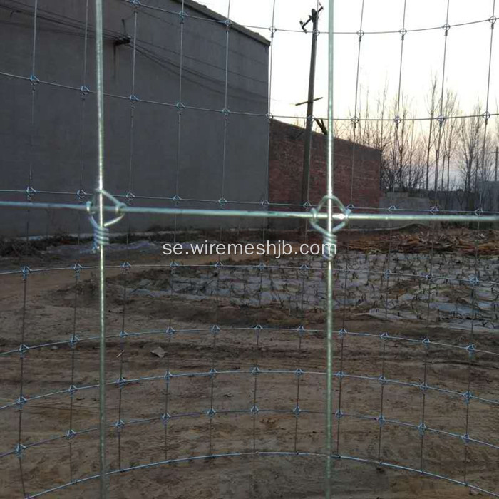 Cattle Fence-Hot Dipped Galvaniserad Kraal Network