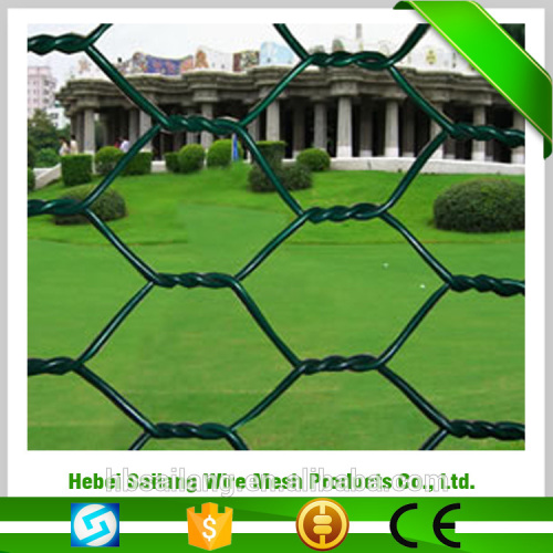 Made in china hexagonal wire mesh high demand in china