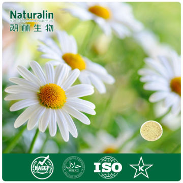 Organic Instant Chrysanthemum Tea Powder