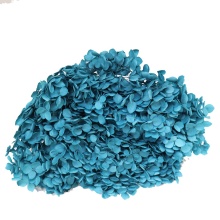 Wholesale High Quality Preserved Anna Hydrangea 20cm - Long Stem for Home & Wedding Decor