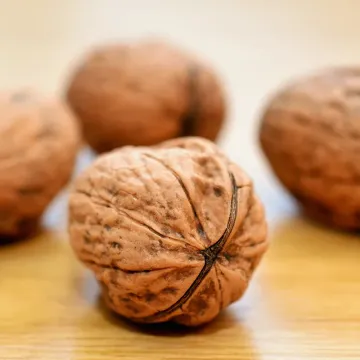 Premium Paper Shell Walnut for Natural Use