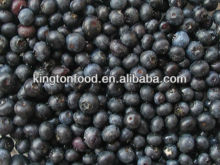 frozen blueberry
