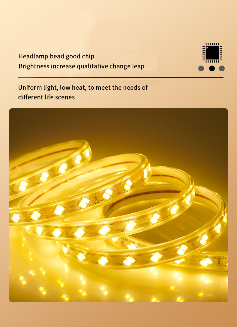 220V High Voltage 72leds 120leds IP65 Double Row Led Strip 5730 Led Strip Flexible